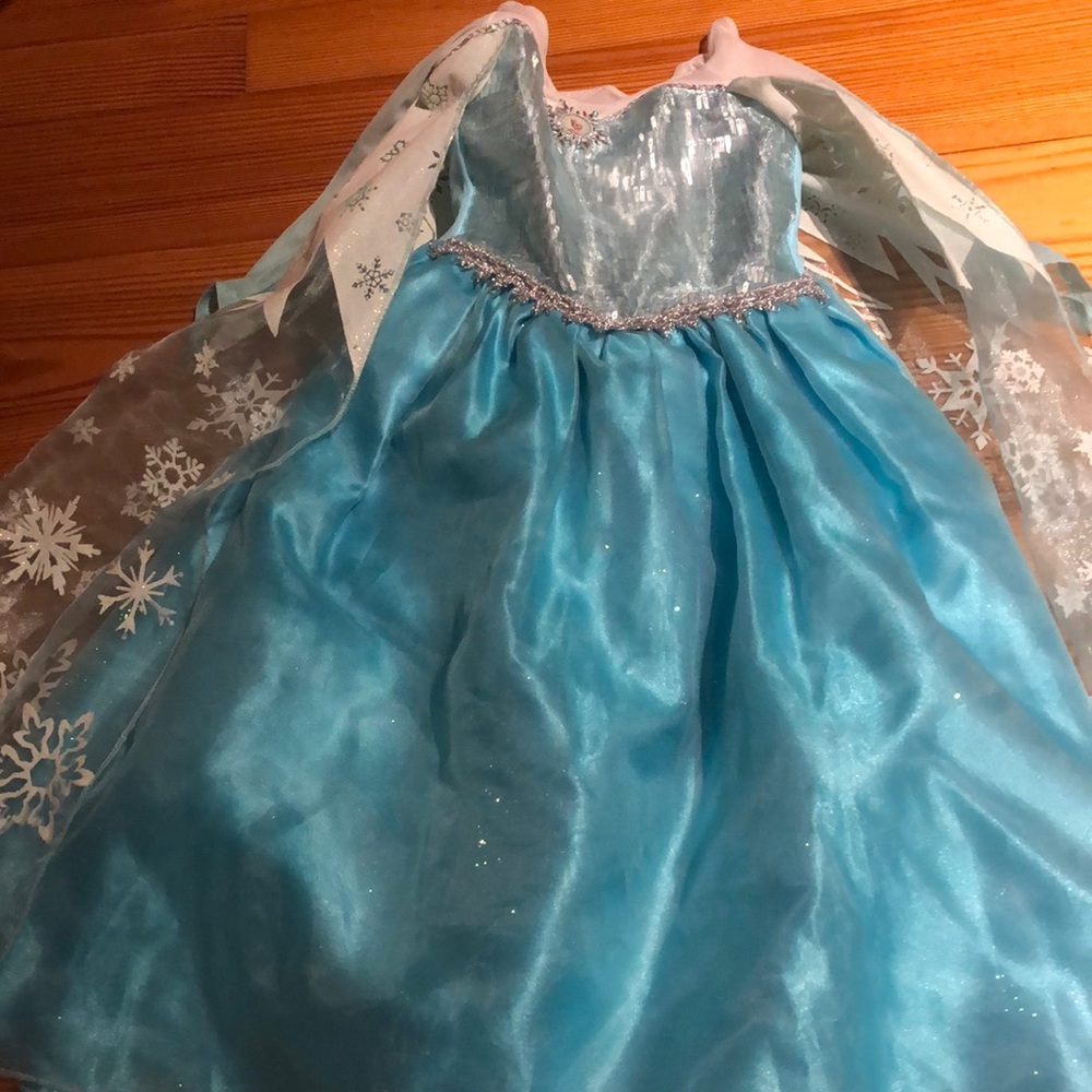 Official Disney Elsa costume